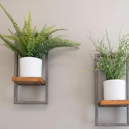 Bootham 32 - Free Parking - Five Minute Walk To Minster *