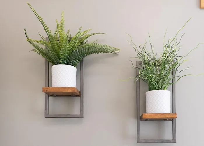 Bootham 32 - Free Parking - Five Minute Walk To Minster *